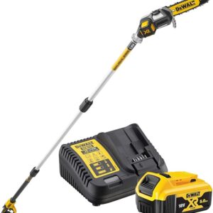 Stangenschnittschere XR 18 V mit 1 Li-Ion-Akku 5,0